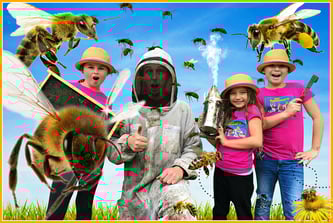 bees, honey bees, bees for kids, bee facts