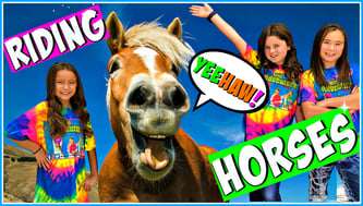 horses for kids, horse facts, learn to ride a horse, girls horses