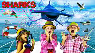 sharks, hammerhead sharks, hammerhead shark video