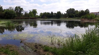 Teich an der Burgstrasse Hainhausen, Foto: ©KBenedickt