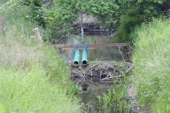 Hainhausen Überlauf am Damm, ©KBenedickt