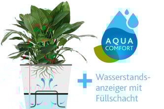 Quelle: emsa - Querschnitt vom Bewässerungssystems