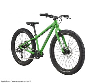 Cannondale bietet dafür mit dem „Kids Cujo 24+“