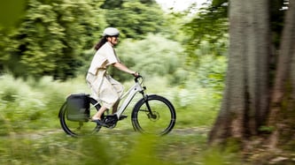 Tailwind Pannier Taschen