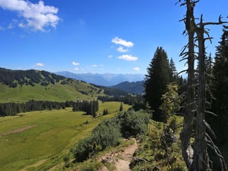 Blick in Richtung des Skigebiets Grasgehren bei Obermaiselstein. Foto: Karl-Josef Hildenbrand