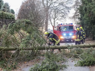 Feuerwehrmänner entfernen im Erzgebirge einen umgekippten Baum, der durch das Sturmtief «Heini» auf eine Straße gefallen ist. Foto: Bernd März