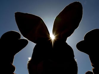 Verdi will bei Amazon «vor Ostern für Unsicherheit im Arbeitsablauf sorgen». Foto: Ralf Hirschberger/Archiv