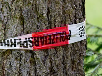 Polizei-Absperrband um einen Baum gewickelt. Foto: Daniel Karmann
