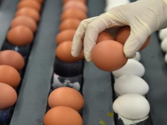 nsgesamt 18,6 Milliarden Eier wurden 2014 in Deutschland verbraucht. Foto: Carmen Jaspersen/Symbolbild