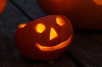 (Symbolbild; Foto: pixabay.com / Efraimstochter)