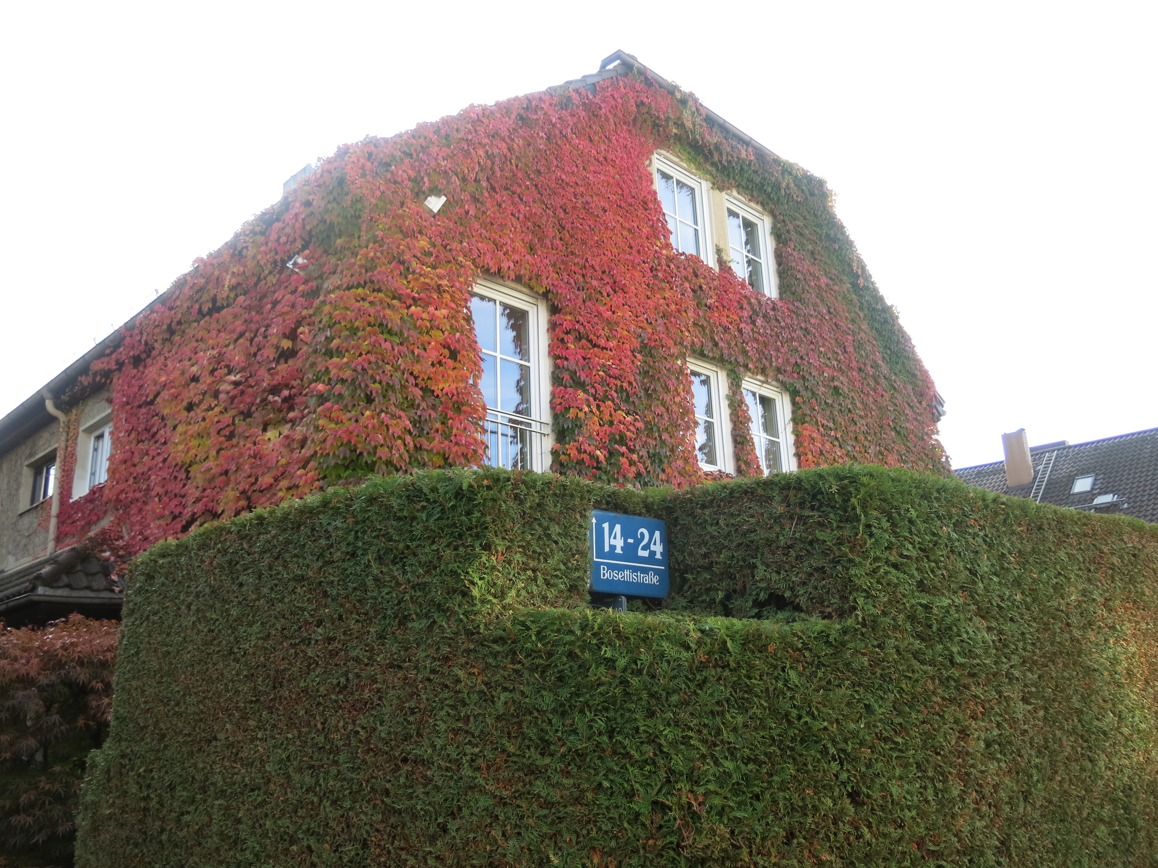 Beispiel für eine begrünte Fassade (Foto: Green City e.V. / Silvia Gonzalez)