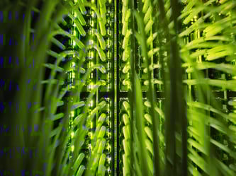 Zahlreiche Glasfaserkabel laufen an einem Verteilerpunkt zusammen. Foto: Daniel Reinhardt/Archiv