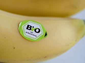 Banane mit Bio-Aufkleber. Foto: Christoph Schmidt/Illustration
