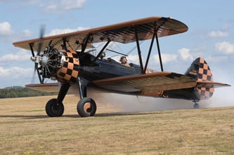 Das alte Krähe in Action