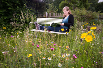 Eine Frau sitzt auf einer Bank mit einem Buch, im Vordergrund eine blühende Wiese