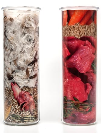 konventionelle Katzenfutter vs natürlichem Futter | hundkatzeschmaus.ch