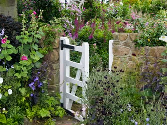 How to grow a cottage garden,