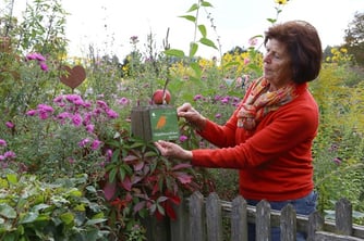 Plakette Vogelfreundlicher Garten, LBV