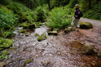 Am Flößerpfad nach Alpirsbach mit Grille