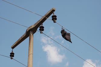 Foto: NABU/Daniel Schmidt-Rothmund