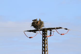 Foto: NABU/Daniel Schmidt-Rothmund