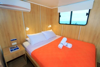 Upper deck cabin with double bed on board the Aqua - Galapagos Shark Diving