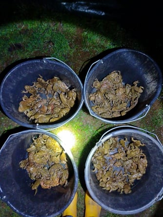 Fotos: Petra Hartung