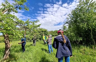 Erkundung der Gröpelnkuhle