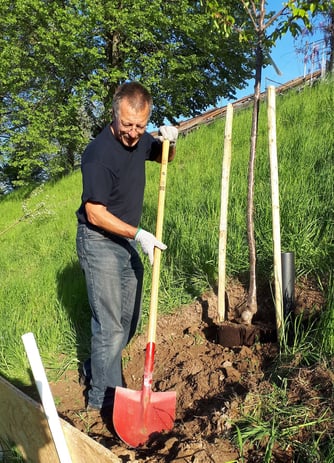 Foto:  Alte Obstsorten pflanzen, Gabi Maas