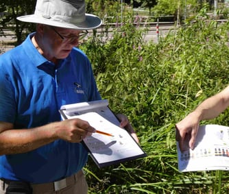 Foto: Experte Insekten und Wald, Dr. Stefan Kress