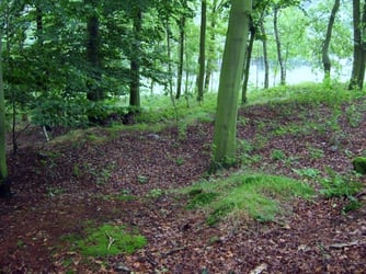 Halde auf dem Krohnenberg