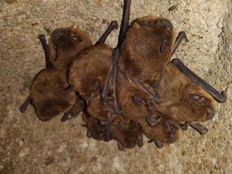 Foto: Nico Stenschke