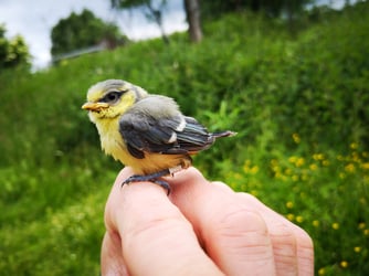 Foto: Nico Stenschke