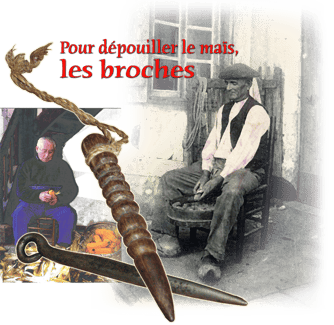 Orthe, landes, aquitaine, sud-ouest, france, maïs, hybride, millas, OGM, blé d'inde, millasson