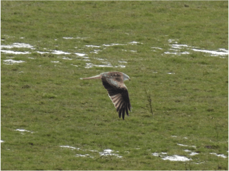 Foto: Marion Zöller / NABU Euskirchen