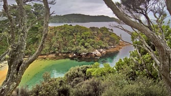 Le Kanuka de Stewart Island