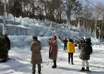 氷点下の森　昼間