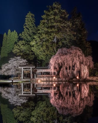 インスタキャンペーン2022優秀賞 徳田夕美様