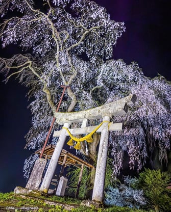 インスタキャンペーン2024優秀賞　清水孝司