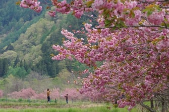 インスタキャンペーン2023優秀賞　荒井俊範様
