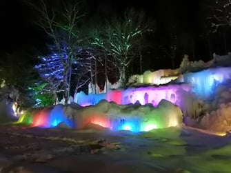 氷点下の森ライトアップ