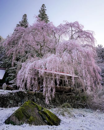 インスタキャンペーン2023優秀賞　安江修治様