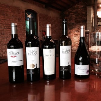 Pedregal Tannat Tannat Pedregal Prima Donna Osiris Mburucuya Uruguay Wein Rotwein Neue Welt Südamerika