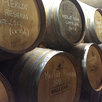 Alto de la Ballena Cuvée Reserva Tannat Viognier Merlot Cabernet Franc Uruguay Wein Rotwein Neue Welt Südamerika