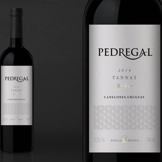 Pedregal Tannat Tannat Pedregal Uruguay Wein Rotwein Neue Welt Südamerika