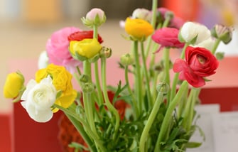 Andrea Keiser Aktuelles