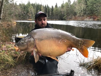 carpe tang des Agadis