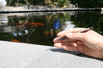 Gesundheitspraxis Anita Gutmann, Umiken bei Brugg - Akupunkt Massage nach Penzel 