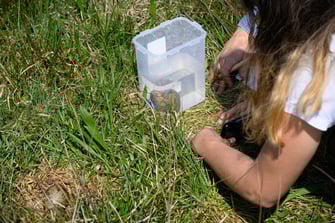 Berechnung Schlupfzeitpunkt