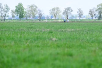 ... und wieder zurück